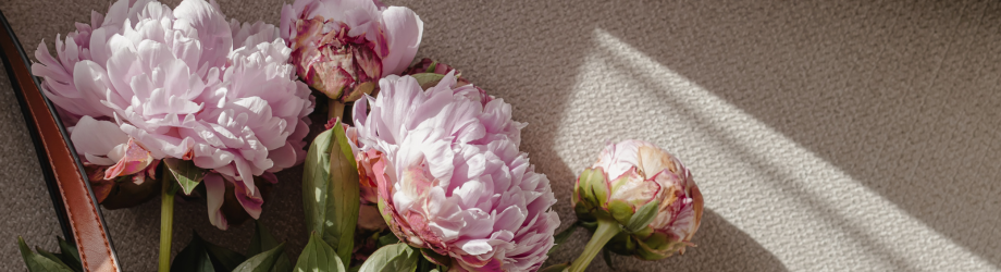 Pivoines roses dans un sac